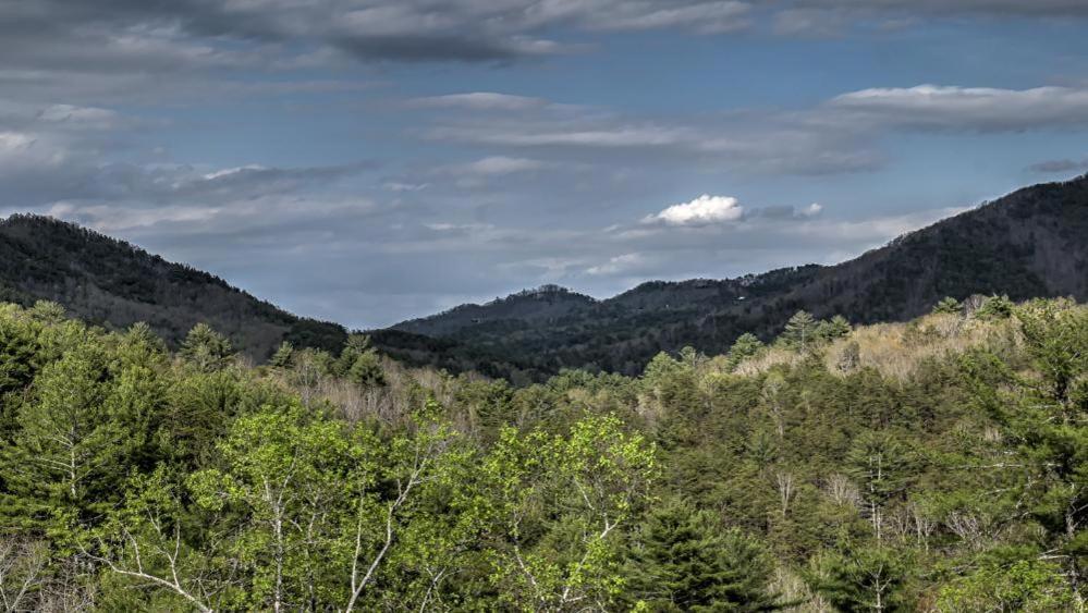 Honey Bear Lodge Blue Ridge Kültér fotó